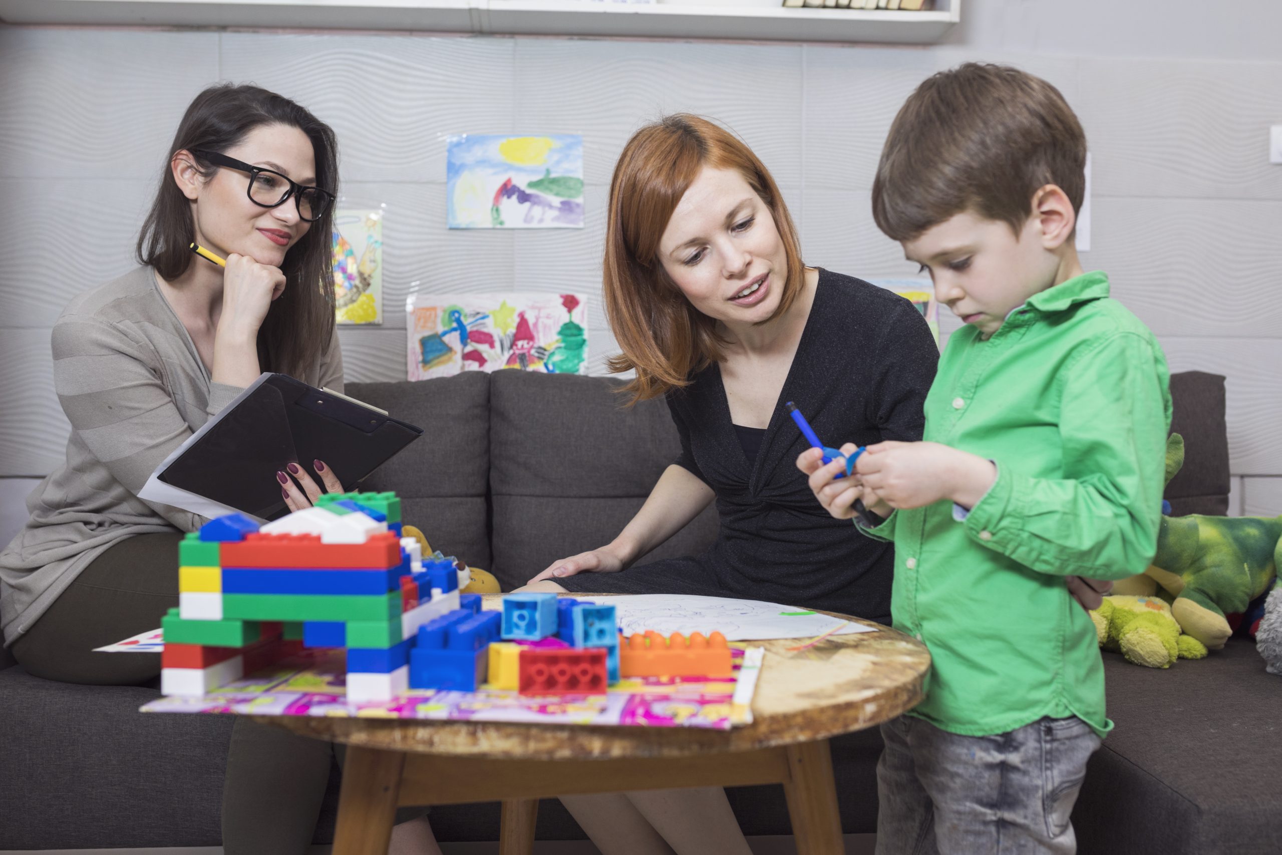 Read more about the article טריאדה (מטפל- הורה-ילד) בחדר הטיפולים: סדנה למטפלים הפרה-רפואיים